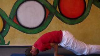 Peacock - Yoga Asana Mayurasana