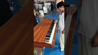 A cost-effective electric piano