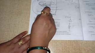 Armstrong number using recursive technique (part 2) ISC ,class 12
