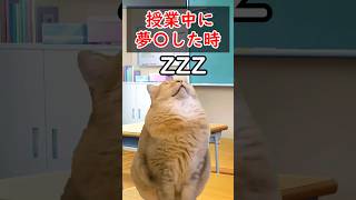 二度はすること　#猫ミーム #あるある