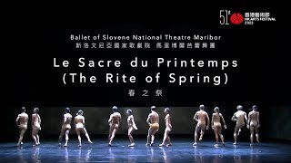 【Ballet Maribor: 𝘓𝘦 𝘚𝘢𝘤𝘳𝘦 𝘥𝘶 𝘗𝘳𝘪𝘯𝘵𝘦𝘮𝘱𝘴 – Message from Edward Clug 斯洛文尼亞國家歌劇院 馬里博爾芭蕾舞團《春之祭》愛德華・克魯格的話】