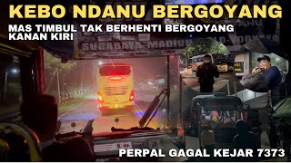 GAGAL TAYANG BERSAMA KEBO NDANU W 7003 UZ‼️BERTEMU 2 YOUTUBER @WisnuSetiawan @altisanofficial46