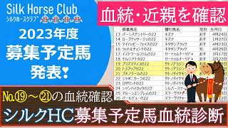 【一口馬主】2023年シルク募集予定馬⑲～㉑！サトノアラジン産駒の適性は？「血統・近親を事前に確認」本番へ向けての準備