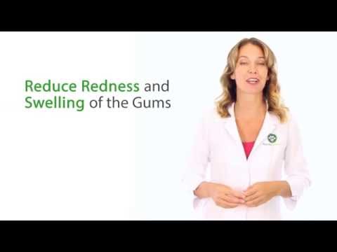 How to Treat your Dog's or Cat's Gingivitis Naturally? How to Treat your Dog's or Cat's Gingivitis Naturally?