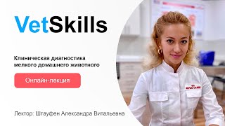 VetSkills «Клиническая диагностика мелкого домашнего животного»