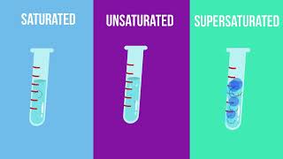 Saturated - Unsaturated- and Supersaturated Solutions- What is the difference?