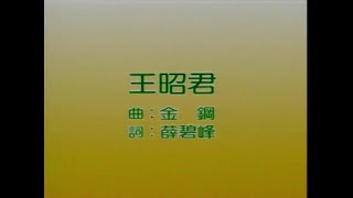 风格群星 - 王昭君【金曲老歌 卡拉OK流行榜】