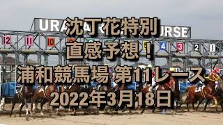 沈丁花特別 直感予想！ 浦和競馬場  第11レース 2022年3月18日