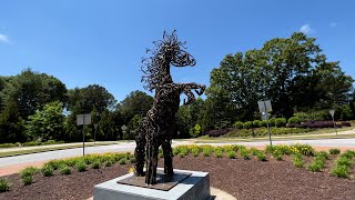 Public Art Installation at Bell-Boles Intersection