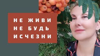 НЕ ЖИВИ - родительская программа | Смертные колыбельные