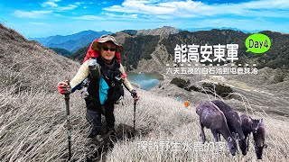 2021/04/29-5/4能高安東軍Day4|探訪台灣水鹿的家|白石池-屯鹿妹池|六天中最輕鬆的一天|原來大家的中餐都獨愛這一味|桃園長青登山協會【高山茶】【茶米歡樂台】