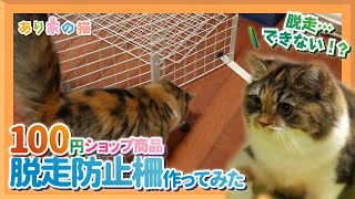 猫の脱走防止柵を100円ショップの商品で作ってみた！【猫×DIY】