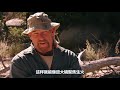 求生一加一dual survival season：被困热带荒漠，仙人掌不好吃，烤兔肉充饥真满足！