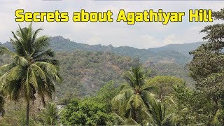 அகத்தியர் மலை | பொதிகை மலை அதிசயங்கள் | Pothigai Malai | Secrets about Agathiyar Hill