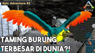 Taming Burung Terbesar di Dunia? (Bonus taming Sabertooth) | Ark Mobile Indonesia