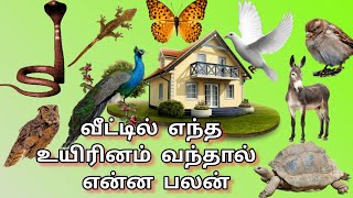 எந்த உயிரினம் வீட்டிற்குள் வந்தால் என்ன பலன் |அதிஷ்டமா?அல்லது து ரதிஷ்டமா?