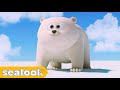 [🐻‍❄️NEW] How I Met My Baby Polar Bear? | SEALOOK | EP.109