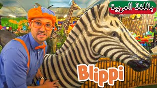 بليبي يستكشف حيوانات الغابة | بلبي بالعربي | كرتون اطفال  | Blippi Arabic Explores Jungle Animals