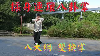 【Gao syle Baguazhang】Badagang Shuanghuanzhang