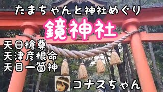 『たまちゃん』義経元服の地、鏡神社