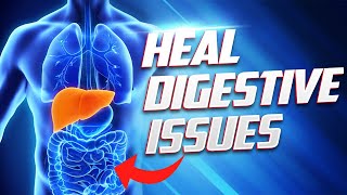 Heal Digestive Issues by Identifying Root Causes | Rejuvenate Podcast Episode 1