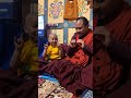 Young Buddhist Monk #bhutan #buddhistchant #dharma #rinpoche #buddhistprayer