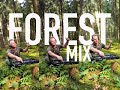 FOREST MELODY | Melodic House