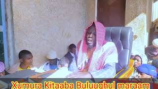 Xumura Kitaaba Buluughul maraam           dhaamsa Darasootaaf #حلقةدارالإيمان لشيخ إلياس عباس#