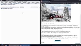OS command injection, simple case (Video solution, Audio)