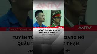 Tuyên y án tử hình Quân Idol #antv #shorts #tintuc #quanidol