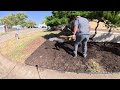 house immersed with overgrown bushes transfomed into mulched island