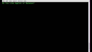 Functions and Case Statements together - BASH - Linux
