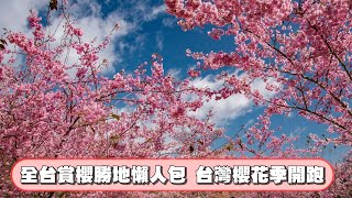 【鏡爆時事】全台賞櫻勝地懶人包  台灣櫻花季開跑｜鏡週刊