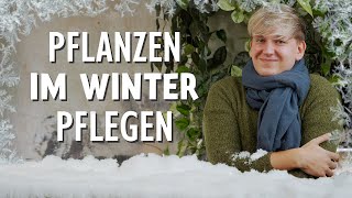 Der Winter naht? Diese 5 Pflegetipps musst du JETZT bei Zimmerpflanzen beachten 🥶