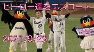 つば九郎、本日のヒーロー 奥川恭伸と青木宣親を外野スタンドにエスコート 2021/9/28