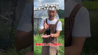 【多肉植物】 初心者さんがやってしまいがちな失敗する鉢の置き方　＃Shorts　＃鉢の置き方　＃鉢の置き場所 ＃多肉＃多肉植物＃多肉の育て方