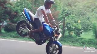 Srilanka Hornet Stunt ❤️👍#Tiktok