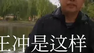 同样的案例，同样的作案工具，同样的逃跑方向，同样的三个坏人都戴着眼镜，同一个乡被抢走，同样的下午作案时间，同样的2岁左右的男孩（我师珂小时候像男孩，      更为同样的是，2个孩子都是在同样不远的