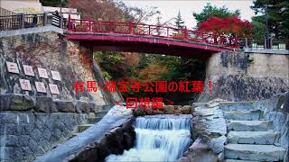 有馬・瑞宝寺公園の紅葉！＜回想編＞