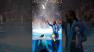 “Orca Wins the Grand Olympic Water Show! 🏆🐋”