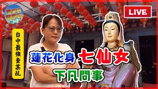 【台中最強查某乩】蓮花化身七仙女 下凡問事