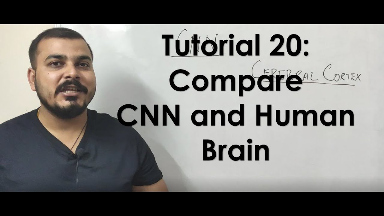 Tutorial 20 Convolution Neural Network Vs Human Brain Youtube