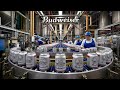 Inside the Beer Factory: Crafting Your Favorite Brews