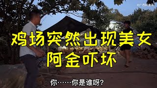 小翠未提前告知，让阿金哥在养鸡场被吓一跳，结局还是很美好的