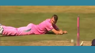 Funniest Animals Attacks on Players in Cricket History of All Time  Cricket Latest 2017