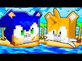 Sonic vs Tails HOUSE in Minecraft!