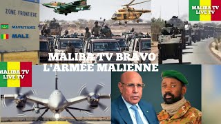 MALIBA TV: TRÈS TRÈS URGENT ARRIVÉ UN PUISSANT CONVOI MILITAIRE DES FAMA FRONTIÈRE MALI- MAURITANIE