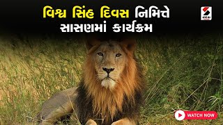 World Lion Day 2023: વિશ્વ સિંહ દિવસ 2023 નિમિત્તે સાસણમાં કાર્યક્રમ | Sasan Gir | Gir National Park