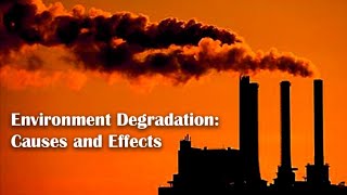 Environment Degradation Causes and Effects