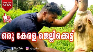 ഒരു കേരള ജെല്ലിക്കെട്ട് | Ziya Talks